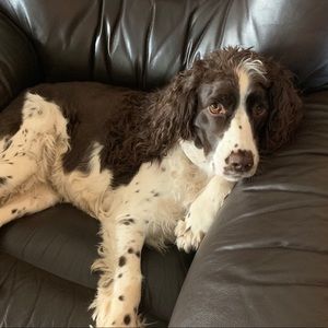 Meet your Posher, Julie